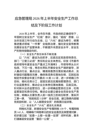 应急管理局2026年上半年安全生产工作总结及下阶段工作计划