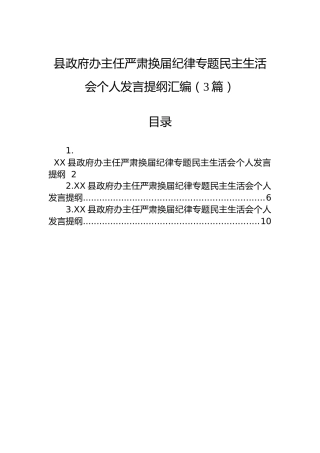 县政府办主任严肃换届纪律专题民主生活会个人发言提纲汇编（3篇）