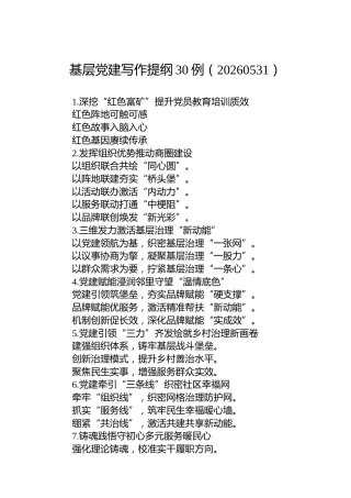 基层党建写作提纲30例（20260531）