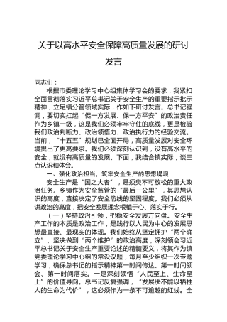 关于以高水平安全保障高质量发展的研讨发言