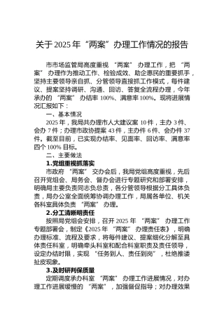 关于2025年“两案”办理工作情况的报告