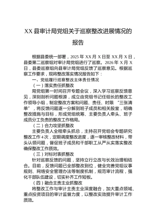 XX县审计局党组关于巡察整改进展情况的报告