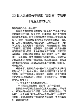XX县人民法院关于整改“回头看”专项审计调查工作的汇报-2