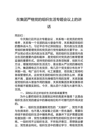 在集团严格党的组织生活专题会议上的讲话