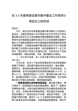 在XX市委常委会暨市集中整治工作领导小组会议上的讲话