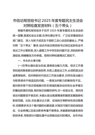 市信访局党组书记2025年度专题民主生活会对照检查发言材料（五个带头）