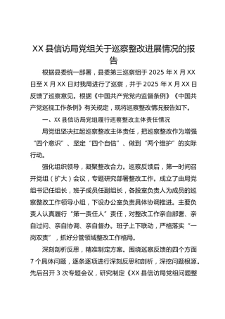 XX县信访局党组关于巡察整改进展情况的报告