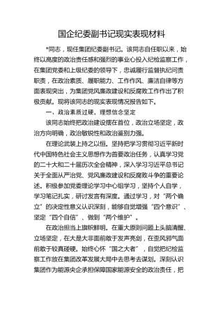 国企公司纪委副书记现实表现材料
