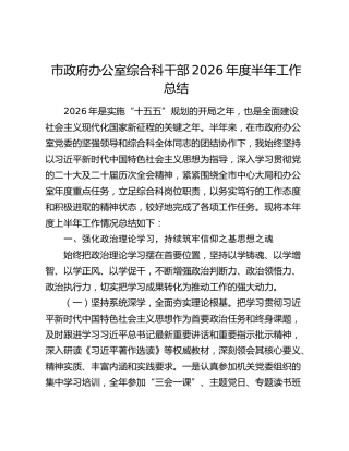 市政府办公室综合科干部2026年度半年工作总结