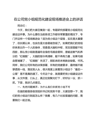 在公司党小组规范化建设现场推进会上的讲话