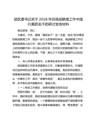 团区委书记关于2026年在统战联络工作中践行真抓实干的研讨发言材料