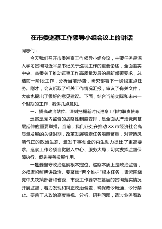 在市委巡察工作领导小组会议上的讲话
