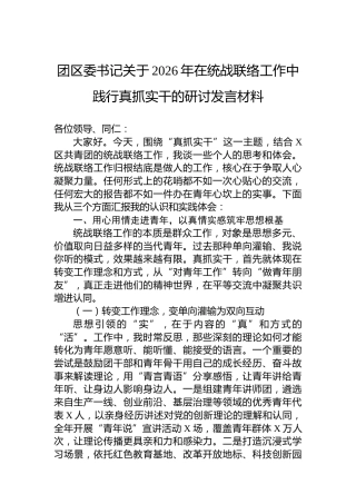 团区委书记关于2026年在统战联络工作中践行真抓实干的研讨发言材料