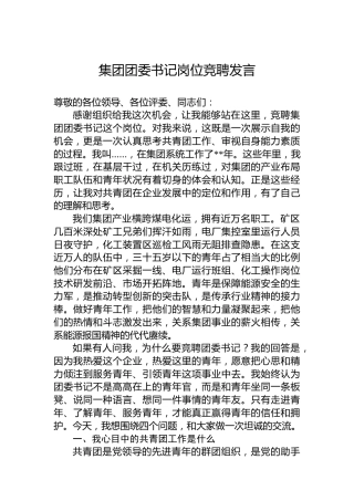 集团团委书记岗位竞聘发言