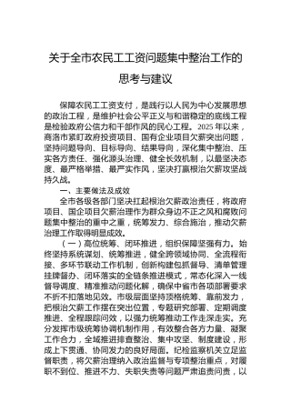 关于全市农民工工资问题集中整治工作的思考与建议