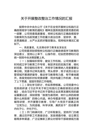 关于开展整改整治工作情况的汇报