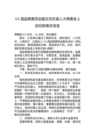 XX县监察委员会副主任在县人大常委会上的任职表态发言-3