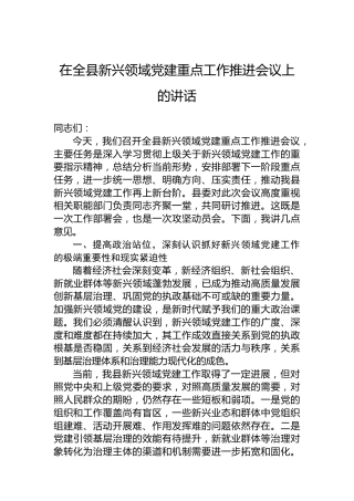 在全县新兴领域党建重点工作推进会议上的讲话