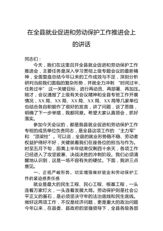 在全县就业促进和劳动保护工作推进会上的讲话