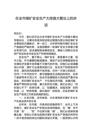 在全市煤矿安全生产大排查大整治上的讲话
