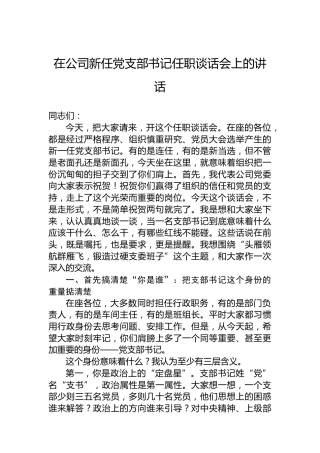 在公司新任党支部书记任职谈话会上的讲话