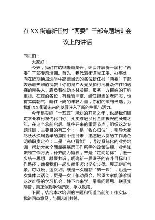 在XX街道新任村“两委”干部专题培训会议上的讲话
