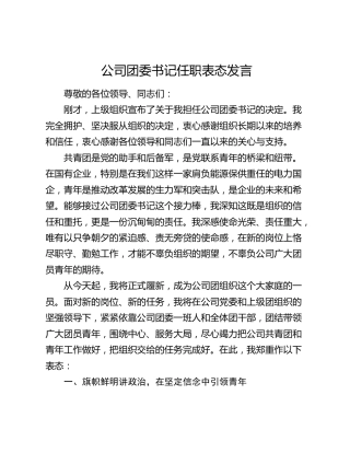 公司团委书记任职表态发言