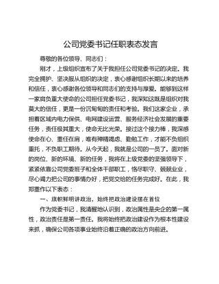 公司党委书记任职表态发言