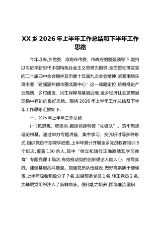 XX乡2026年上半年工作总结和下半年工作思路