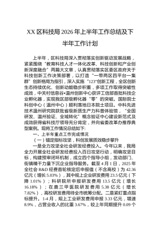 XX区科技局2026年上半年工作总结及下半年工作计划