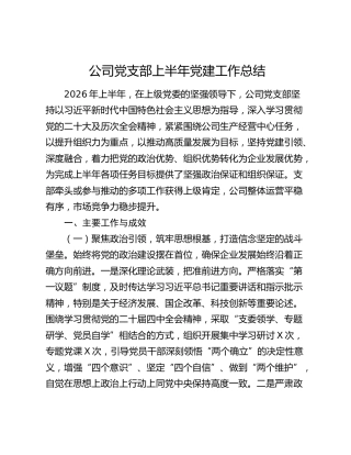 公司党支部上半年党建工作总结