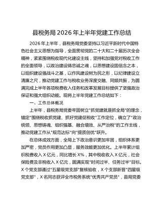县税务局2026年上半年党建工作总结