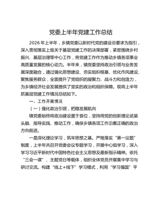 党委上半年党建工作总结