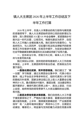 镇人大主席团2026年上半年工作总结及下半年工作打算