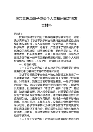 应急管理局班子成员个人查摆问题对照发言材料