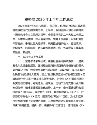 税务局2026年上半年工作总结