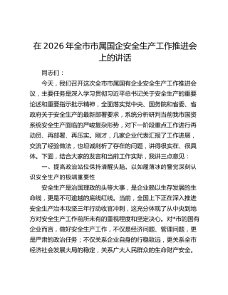 在2026年全市市属国企安全生产工作推进会上的讲话