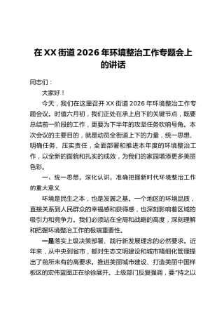 在XX街道2026年环境整治工作专题会上的讲话