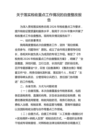 落实税收重点工作情况自查整改报告（总结）