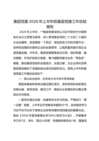 集团党委2026年上半年抓基层党建工作报告
