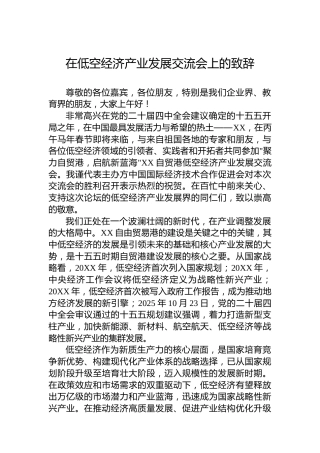 在低空经济产业发展交流会上的致辞