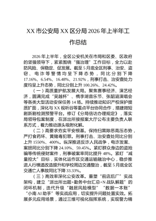 XX市公安局XX区分局2026年上半年工作总结