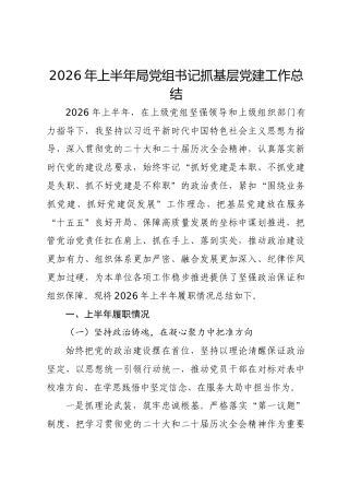 2026年上半年党组书记抓党建工作总结（履职述职）