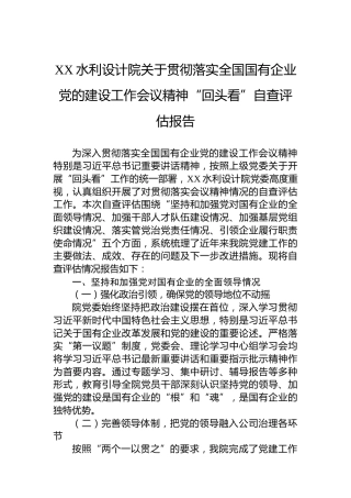 XX水利设计院关于贯彻落实全国国有企业党的建设工作会议精神“回头看”自查评估报告