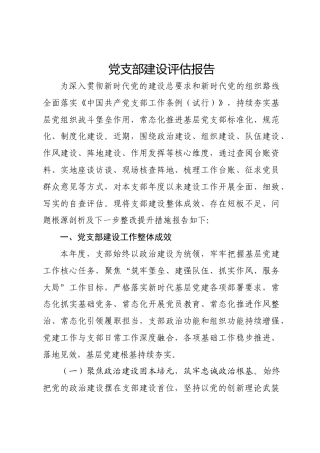 党支部建设评估报告