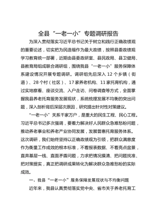 全县“一老一小”专题调研报告