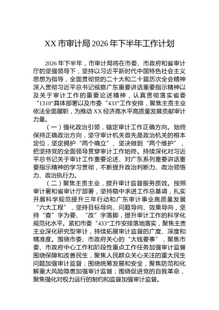 XX市审计局2026年下半年工作计划
