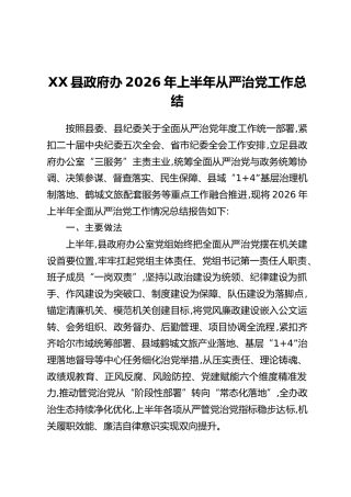 XX县政府办2026年上半年从严治党工作总结