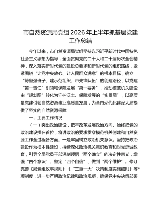 市自然资源局党组2026年上半年抓基层党建工作总结