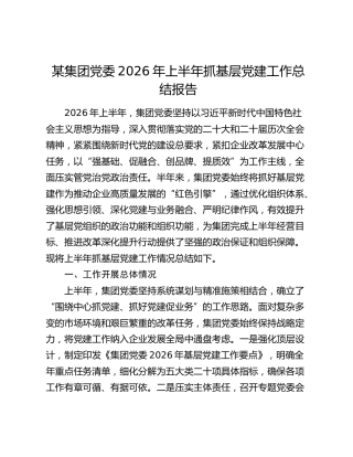 某集团党委2026年上半年抓基层党建工作总结报告